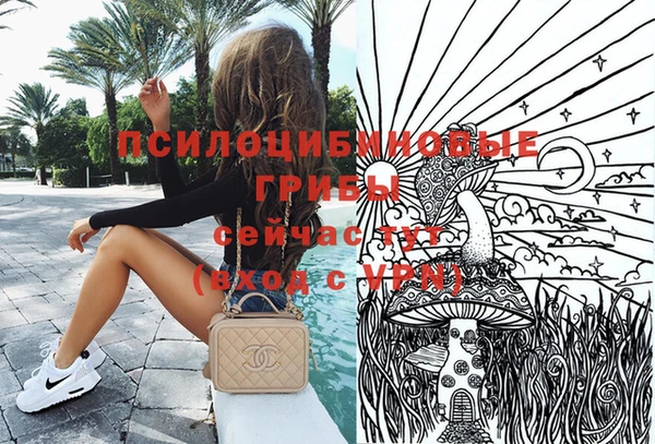 стаф Надым