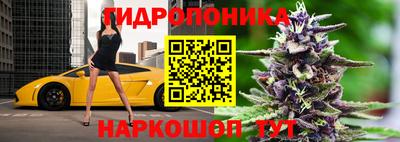 гашик Бугуруслан