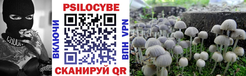 Псилоцибиновые грибы GOLDEN TEACHER  купить закладку  МЕГА вход  Новодвинск 