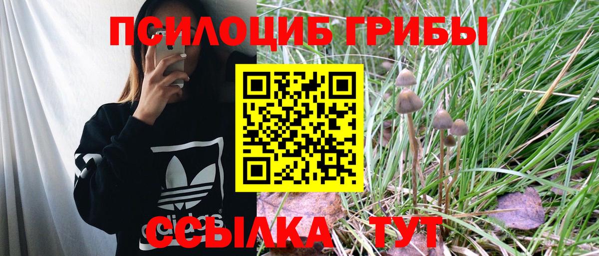 Галлюциногенные грибы Cubensis  Галлюциногенные грибы мухоморы  Вход с VPN  Новодвинск 