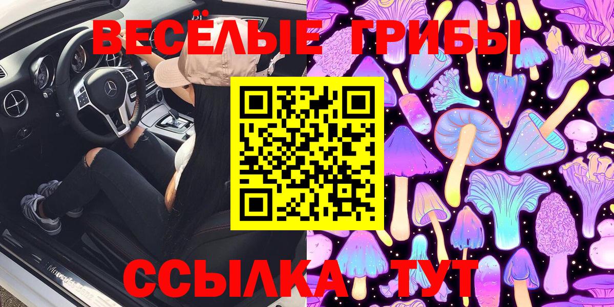 Галлюциногенные грибы MAGIC MUSHROOMS Новодвинск