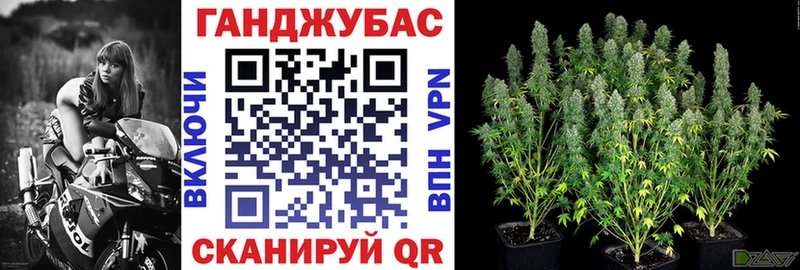 Конопля SATIVA & INDICA Новодвинск